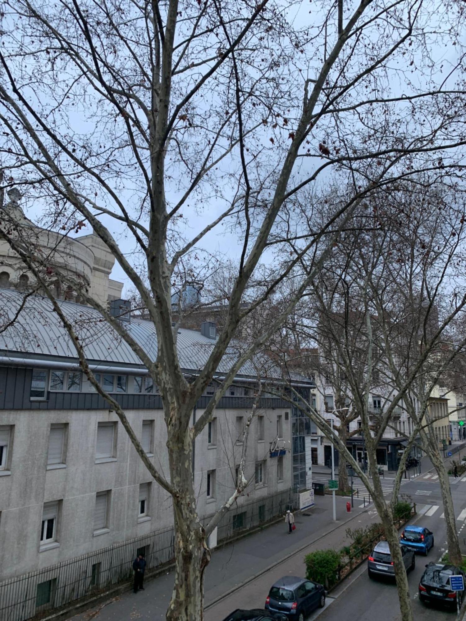 Lyon 3 Triangle D'Or Apartment Екстериор снимка